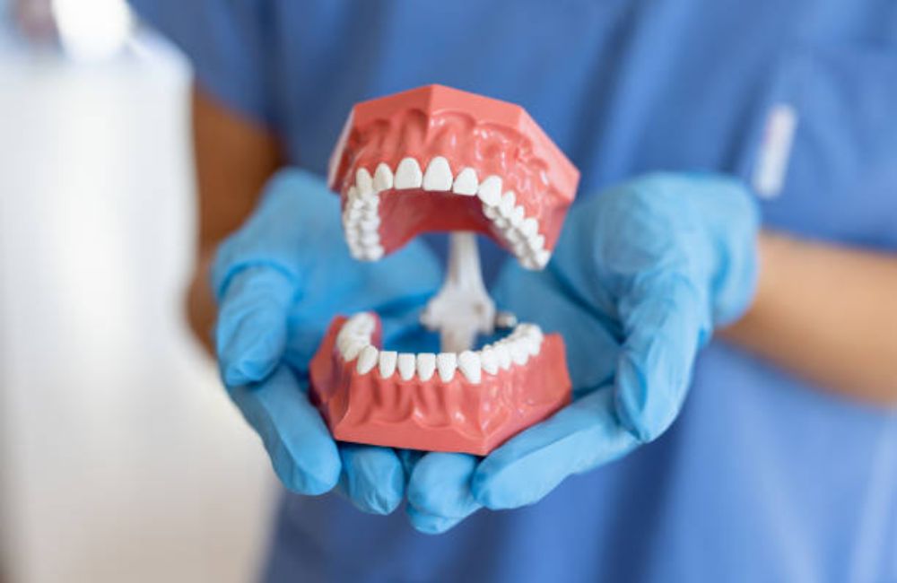 Agoka Dental Services in Tampa