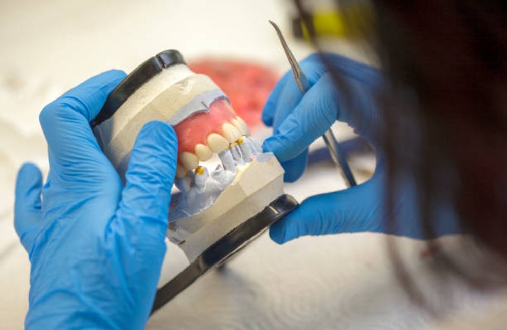 Agoka Dental Services in Tampa