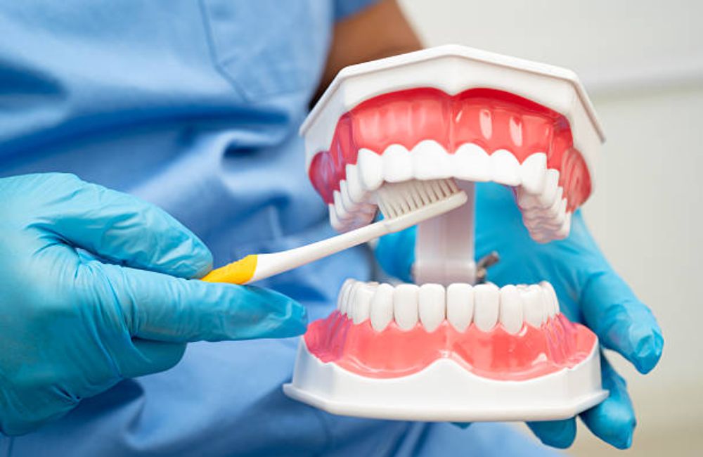 Agoka Dental Services in Tampa