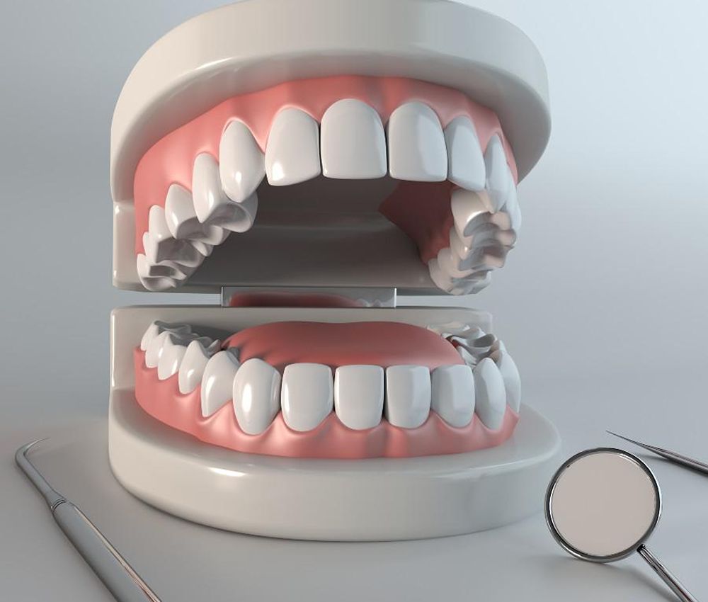 Agoka Dental Services in Tampa