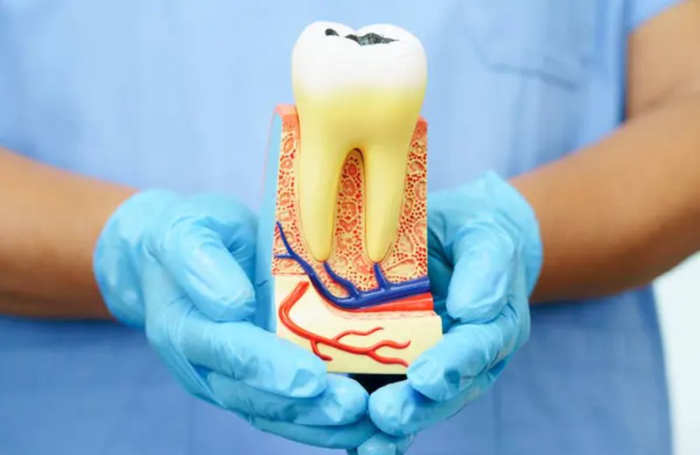 Agoka Dental Services in Tampa